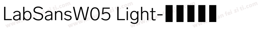 LabSansW05 Light字体转换